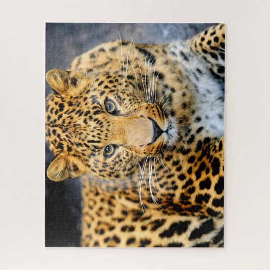 Mooie Leopard Face, Jigzaag Puzzle Legpuzzel (Verticaal)