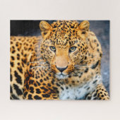 Mooie Leopard Face, Jigzaag Puzzle Legpuzzel (Horizontaal)
