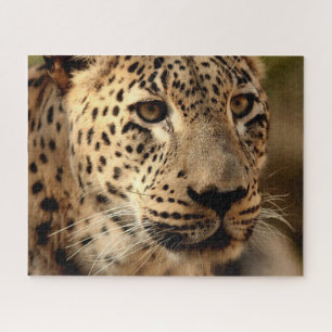 Mooie leopard-portret, Jigzaag Puzzle Legpuzzel