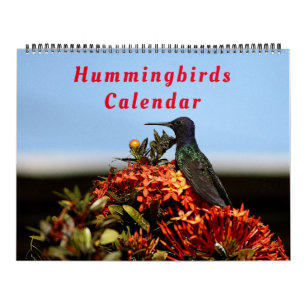 Mooie levende vogels - gekleurde vogels kalender