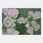 Mooie lichte roze rozen inpakpapier vel (Voorkant 2)