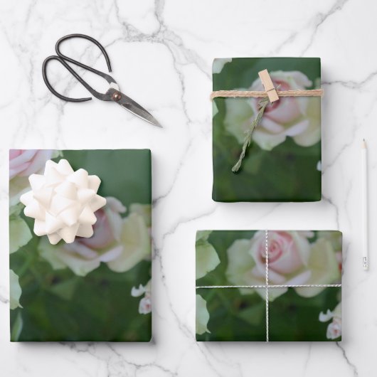 Mooie lichte roze rozen inpakpapier vel (Voorkant)