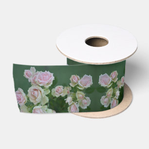 Mooie lichte roze rozen lint