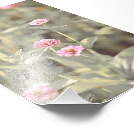 Mooie lichtroze bloem bloesem foto afdruk (Hoek)