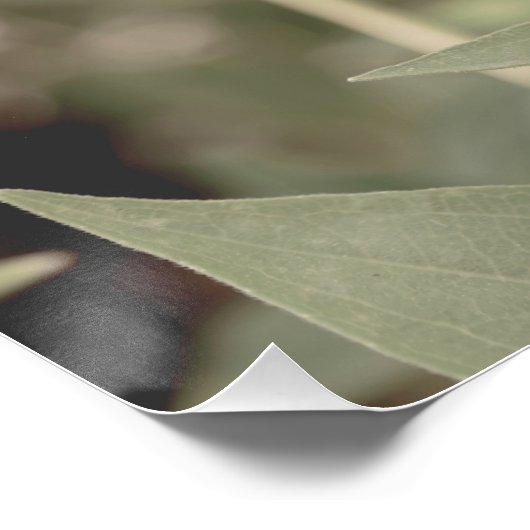 Mooie lichtroze bloem bloesem perfect poster (Hoek)