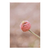 Mooie lichtroze bloem bloesem perfect poster (Voorkant)