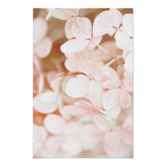 Mooie lichtroze bloem bloesem perfect poster (Voorkant)