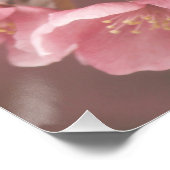 Mooie lichtroze bloemblaadjes Floral Poster Perfect Poster (Hoek)