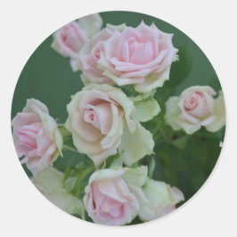 Mooie lichtroze tuinrozen  ronde sticker