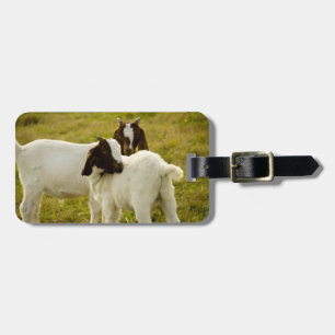 Mooie lieve babygeiten in de weide bagagelabel