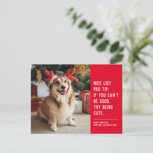 Mooie lijst leuke, grappige kerstfoto feestdagenkaart (Staand voorkant)