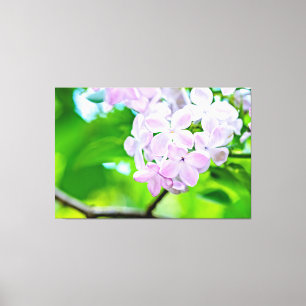 Mooie Lila bloemen Canvas Afdruk