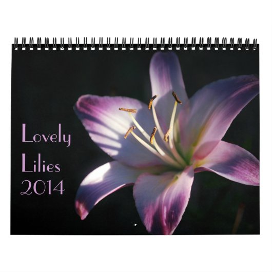 Mooie Lily-foto's Kalender (Hoes)
