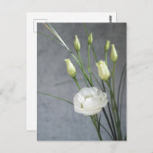 Mooie Lisianthus White Flowers Briefkaart (Voorkant / Achterkant)