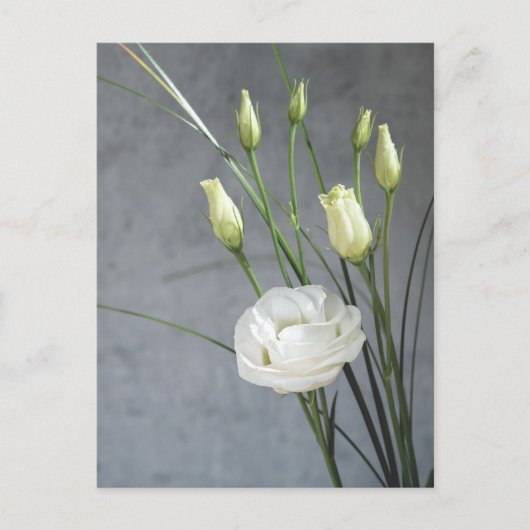 Mooie Lisianthus White Flowers Briefkaart (Voorkant)
