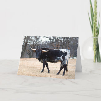 Mooie Longhorn Kaart