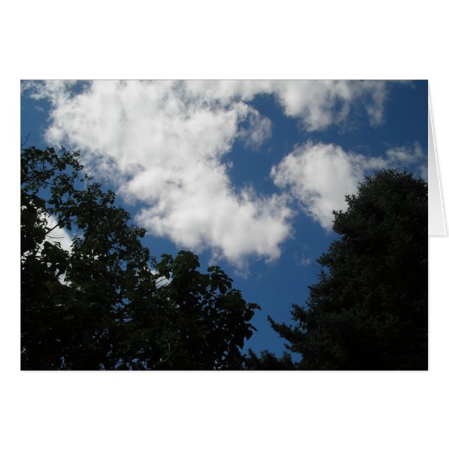MOOIE LUCHT (Voorkant Horizontaal)