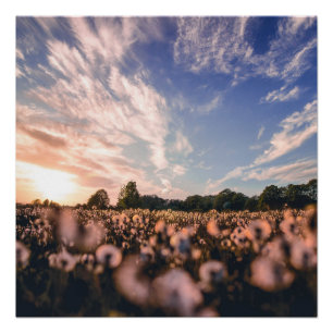 Mooie lucht boven de vlakte perfect poster