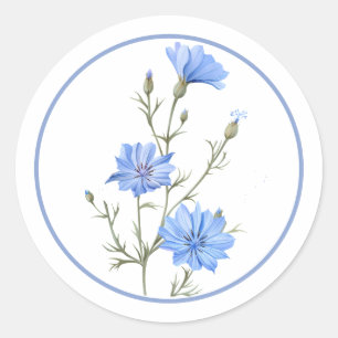 Mooie Maagdenpalm Blauwe Chicorei Bloem Kruid Ronde Sticker