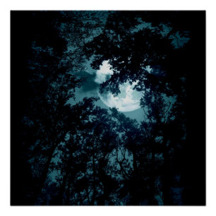 Mooie maan gloed door bomen perfect poster