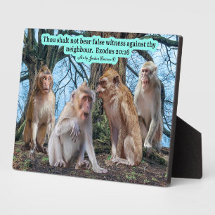 Mooie Macaque Monkey Schrift Exodus 20:16 Fotoplaat