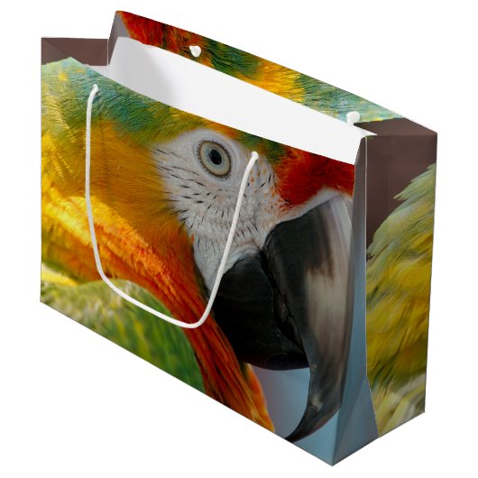 Mooie Macaw Large Cadeauzakje (Voorkant Gekanteld)