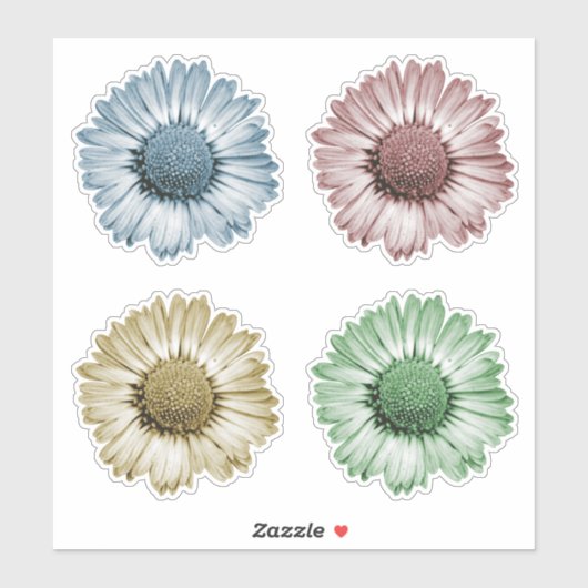 Mooie Madeliefjes Bloem Hoofden Set van Vier Kleur Sticker (Vel)