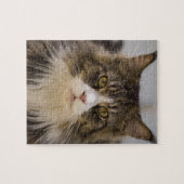 Mooie maincoon legpuzzel (Horizontaal)