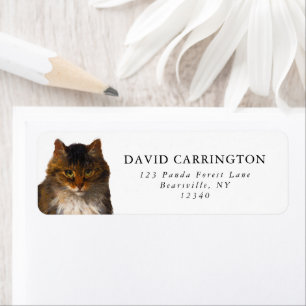 Mooie  Maine Coon Cat Portret Schilderij Etiket