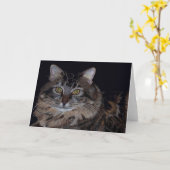 Mooie Maine Coon Cat Wenskaart Kaart (Gele Bloem)