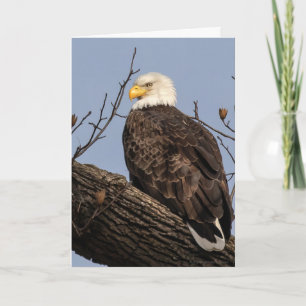 Mooie mama (Eagle) Kaart
