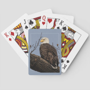 Mooie mama (Eagle) Pokerkaarten