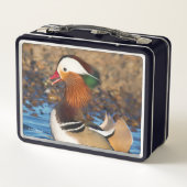 Mooie Mandarijnse eend bij de Pond (Achterkant)