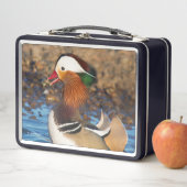 Mooie Mandarijnse eend bij de Pond (In situ)