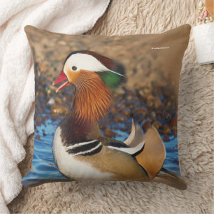 Mooie Mandarijnse eend bij de Pond Kussen