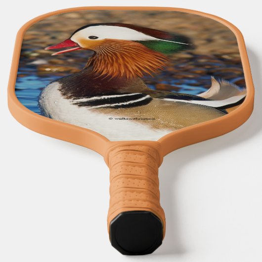 Mooie Mandarijnse eend bij de Pond Pickleball Paddle (Laagn)