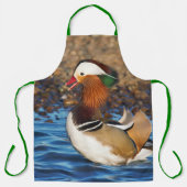 Mooie Mandarijnse eend bij de Pond Schort (Voorkant)