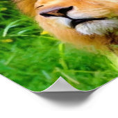 Mooie mannetjes met een Afrikaanse wildernis Poster (Hoek)