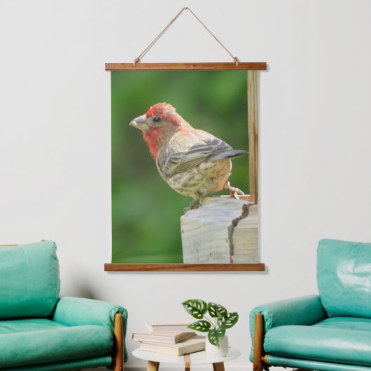 Mooie mannetjeshuisFinch Hanging Tapestry Hangend Wandkleed (Woonkamer)