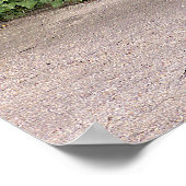 Mooie mannetjespauw poster (Hoek)