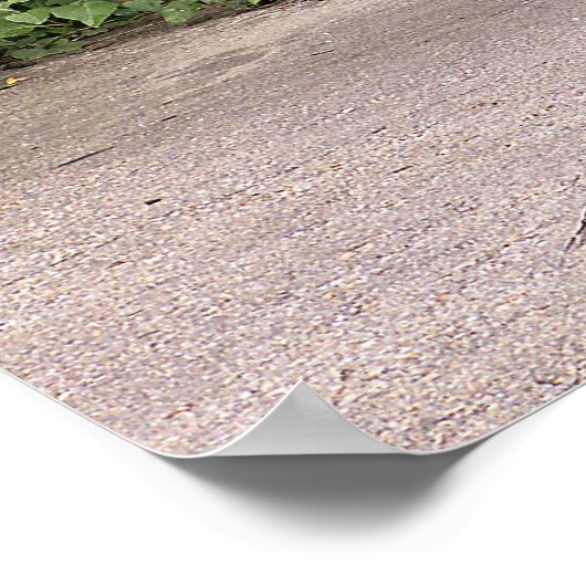 Mooie mannetjespauw poster (Hoek)