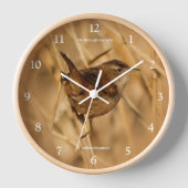 Mooie Marsh Wren Songbird in de moerassen (Voorkant)