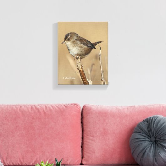 Mooie Marsh Wren Songbird in de moerassen Canvas Afdruk (Insitu (Woonkamer))