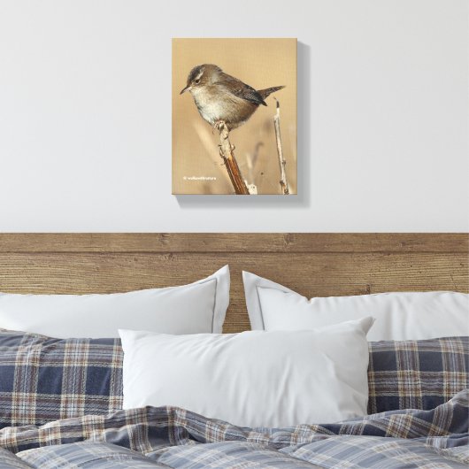 Mooie Marsh Wren Songbird in de moerassen Canvas Afdruk (Insitu (Slaapkamer))