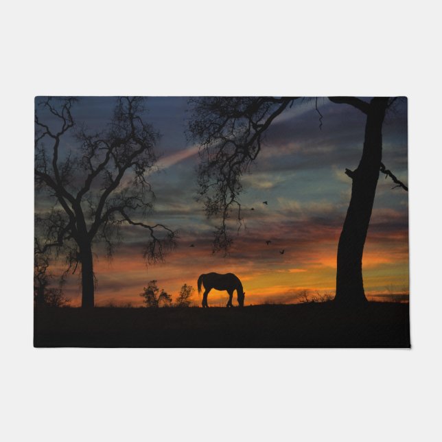 Mooie Mat van de deur van het zuidwesten van paard (Voorkant)