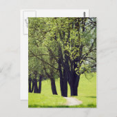 Mooie Meadow Briefkaart (Voorkant / Achterkant)