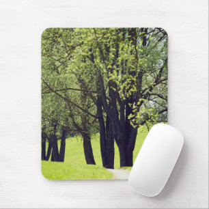 Mooie Meadow Muismat