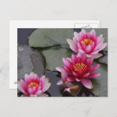 Mooie meerbloemen briefkaart (Voorkant / Achterkant)