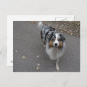 Mooie meerkleurige Aussie Briefkaart (Voorkant / Achterkant)