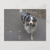 Mooie meerkleurige Aussie Briefkaart (Voorkant)